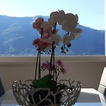 Mari Dervio